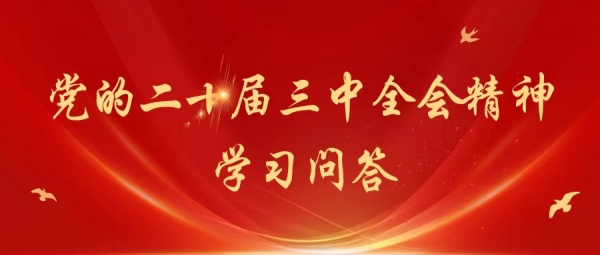 黨的二十屆三中全會(huì)精神 | 系列問答
